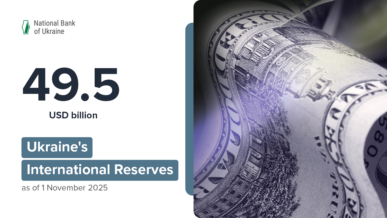 International Reserves at USD 49.5 Billion in October